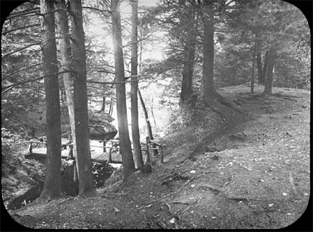 Photograph of the Friends' Bridge