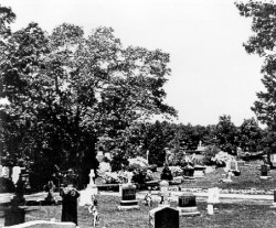 St. Mary's Cemetery