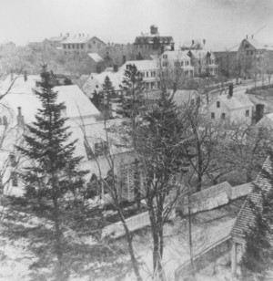 Southeasterly view of Newton Upper Falls from the Methodist Church steeple, c. 1870