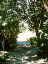 The old 1688 highway, viewed from the east towards present day Chestnut St.