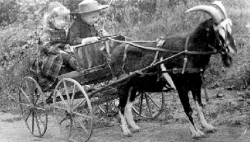 Child transport in a simpler age